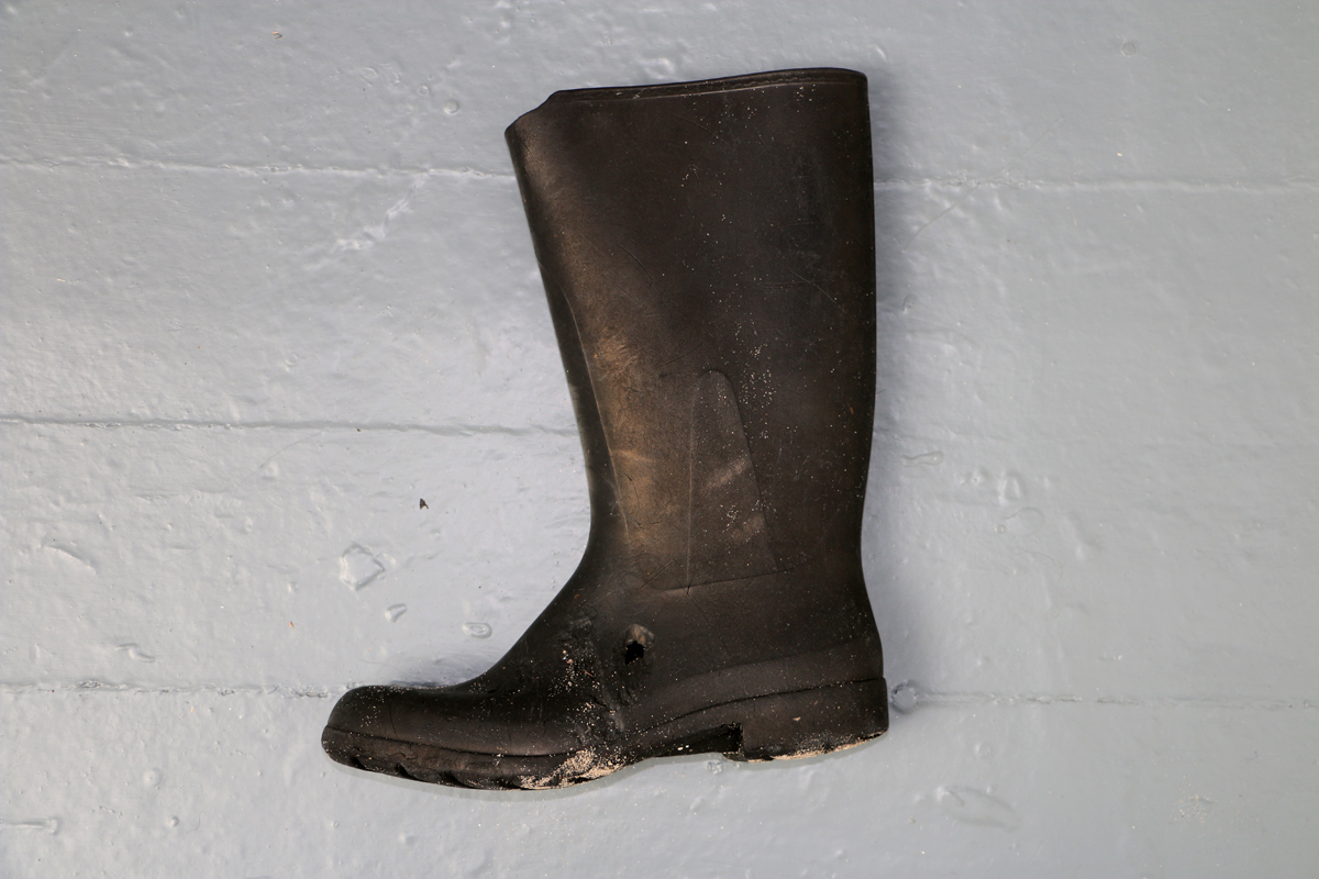 BootsWeb3.jpg
