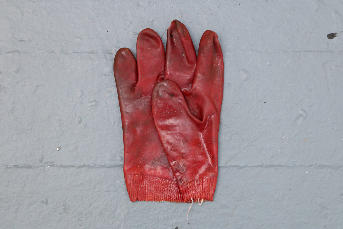 GlovesWeb5.jpg