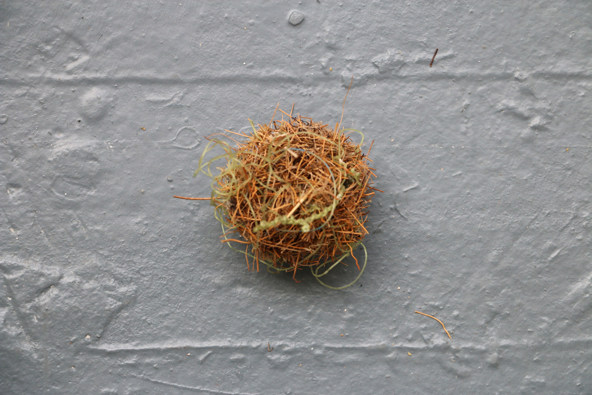 Object-Web4.jpg