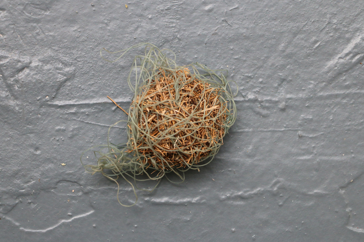 Object-Web5.jpg