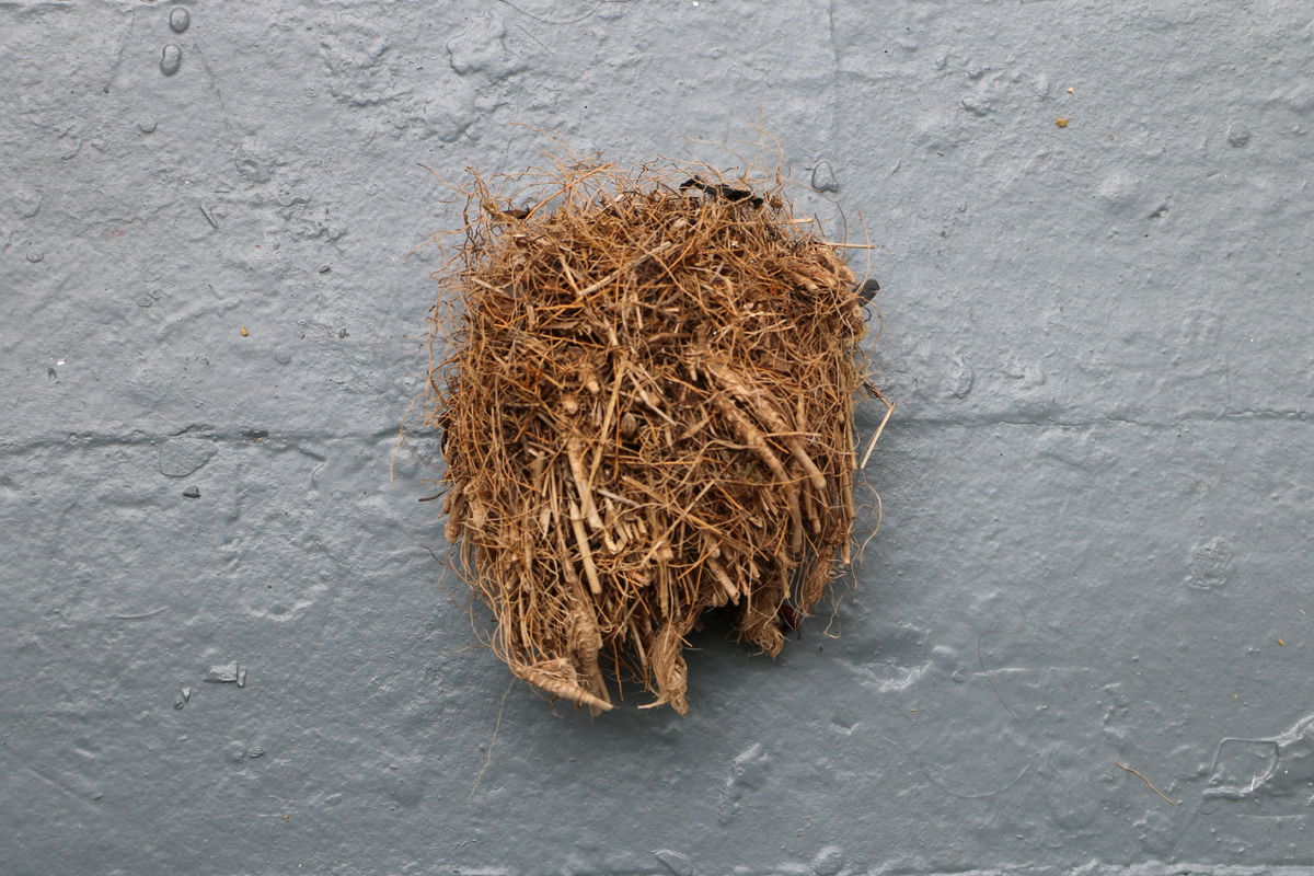 Object-Web6.jpg