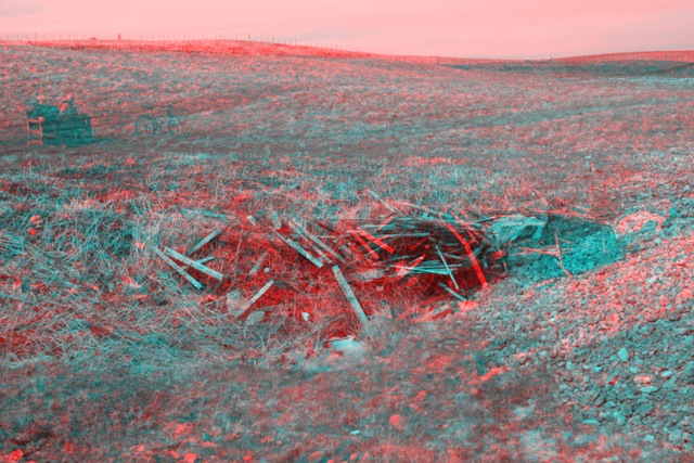 shelter2.jpeg
